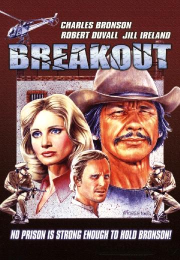 Breakout poster