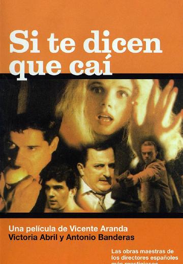 If They Tell You I Fell poster